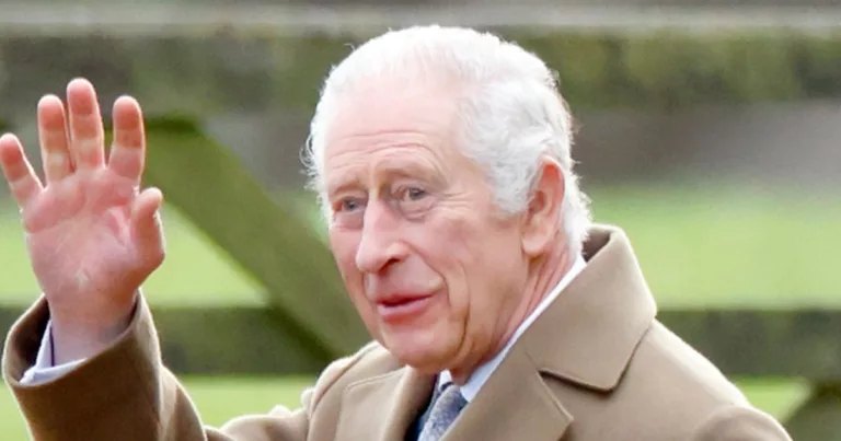 King Charles Gives Fans a Rare Look Inside His Royal Office